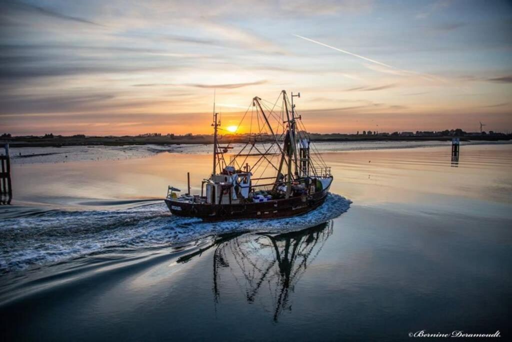 Zeezonzand Koksijde Exteriér fotografie