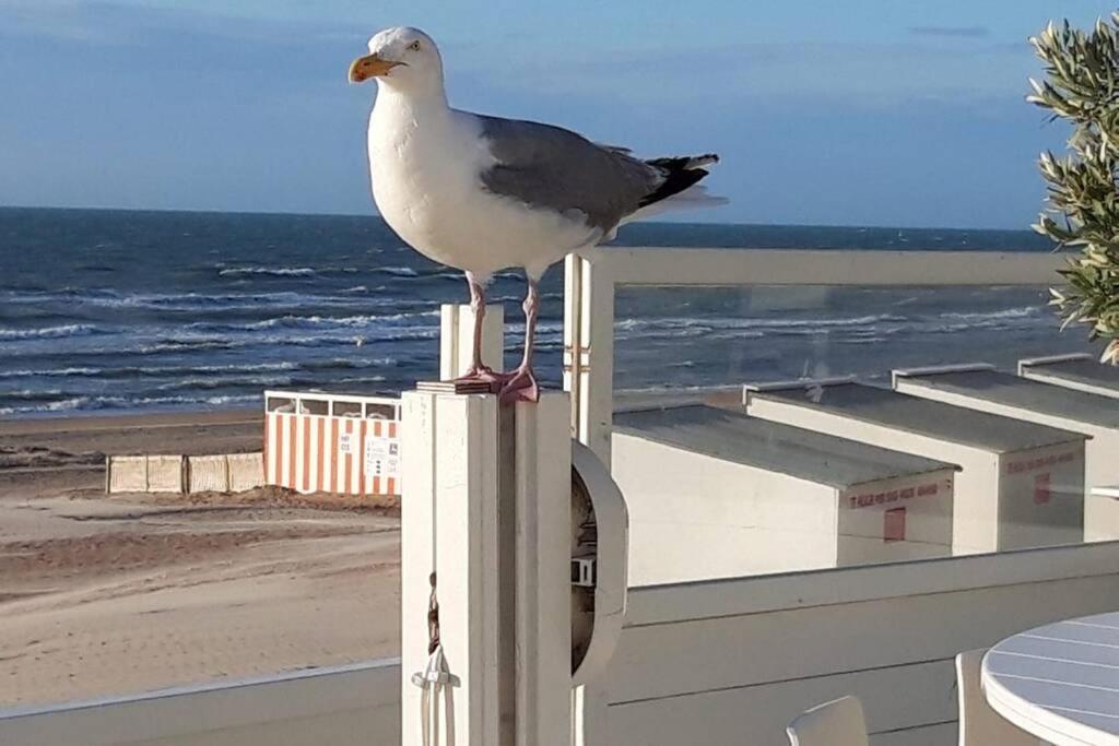 Zeezonzand Koksijde Exteriér fotografie
